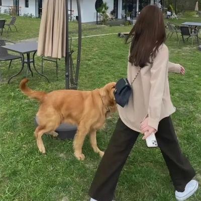 来自大海的男人
